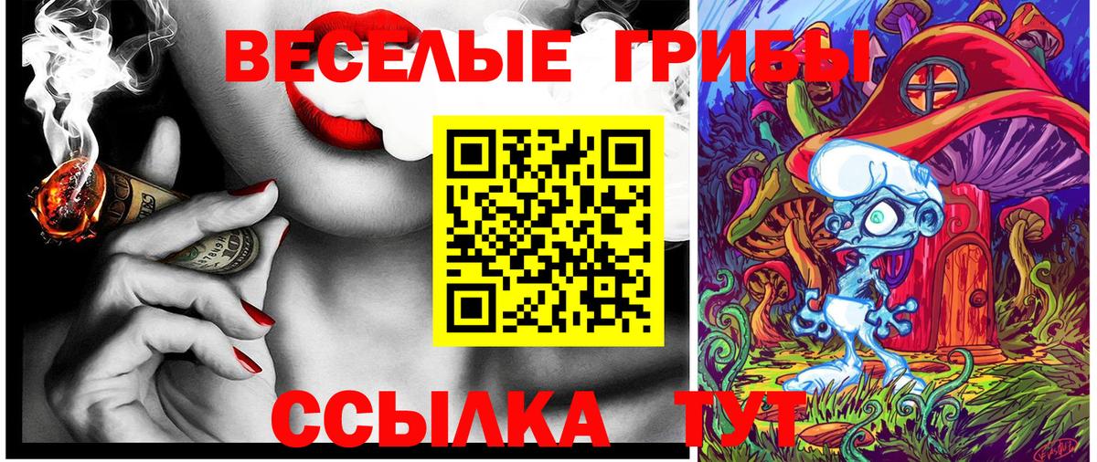 Назарово  Галлюциногенные грибы прущие грибы  Вход с VPN 